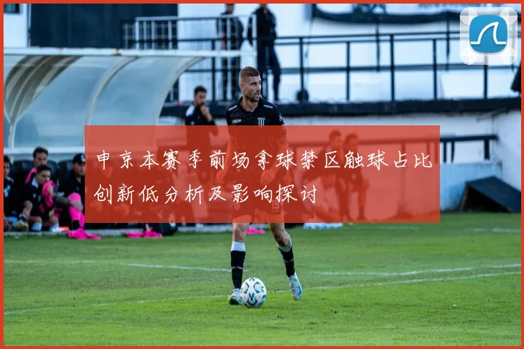 申京本赛季前场拿球禁区触球占比创新低分析及影响探讨