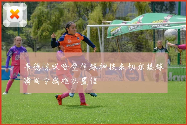 韦德惊叹哈登传球神技米切尔接球瞬间令我难以置信