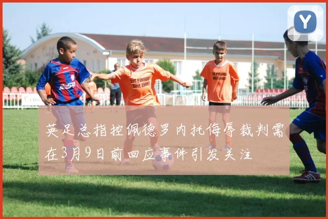英足总指控佩德罗内托侮辱裁判需在3月9日前回应事件引发关注