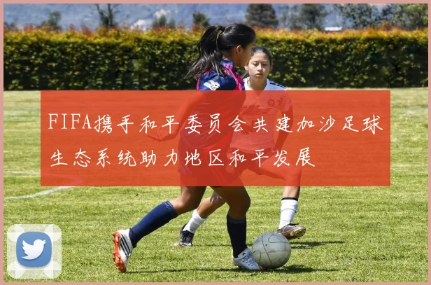 FIFA携手和平委员会共建加沙足球生态系统助力地区和平发展