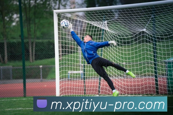 新葡京APP 高清赛事图